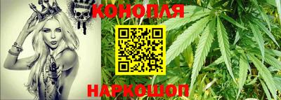 стаф Донской