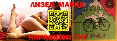 стаф Донской