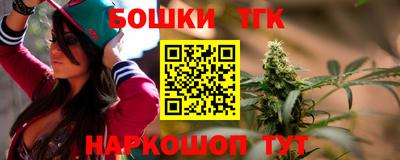 дмт Дубна