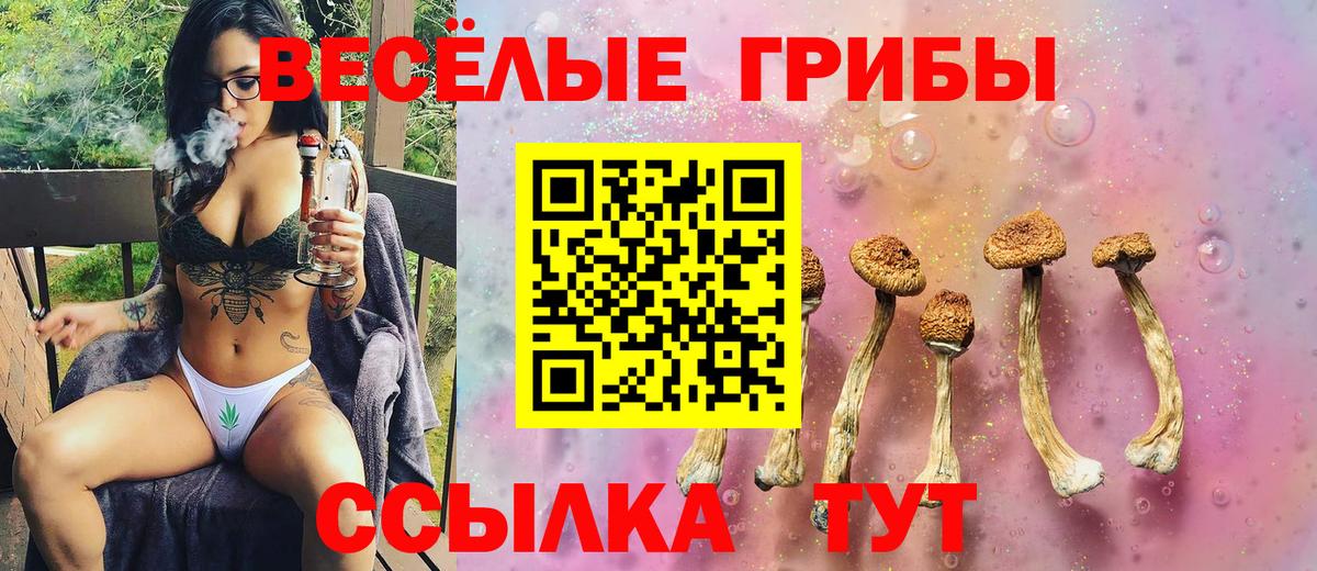 Глазов  Галлюциногенные грибы Cubensis  Вход с VPN 