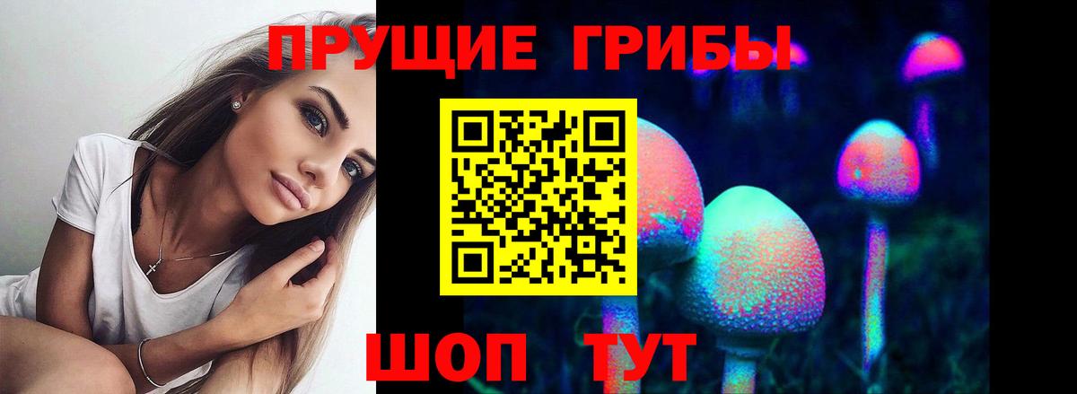 Псилоцибиновые грибы ЛСД Глазов